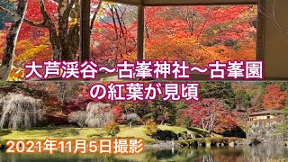 栃木県の紅葉は那須塩原、日光だけじゃない！今が見頃　大芦渓谷、古峯神社、古峯園【２０２１年１１月５日撮影】