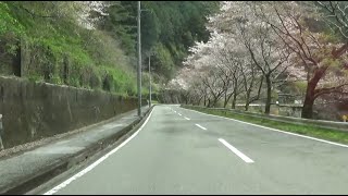 KM5【車窓倍速含】西条から寒風山トンネルを通って道の駅木の香へ　（2023.3.30)