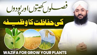 Khait Aur Fasal Ki Hifazat Ke Leya Amal | Wazifa For Grow Your Plants | Rohani Ilaj Aur Istekhara