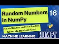 Numpy Random Module | Random Numbers In Numpy | Numpy Tutorials | Numpy Array