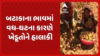 Potato Farmer | બટાકાના ભાવમાં વધ-ઘટના કારણે ખેડૂતોને હાલાકી