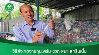 วิธีเพิ่มมูลค่าขวดเพ็ท PET อย่างไรให้ได้ราคาสูง