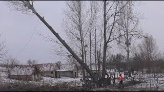 FŰRÉSZ MÁNIA: FAVÁGÁS A SIKÁTORI SZÍVATÓBAN 2.