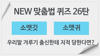 NEW 맞춤법 퀴즈 26탄 (우리말 겨루기 출연 대비, 한글 맞춤법, 우리말 학습, 두뇌 운동, 한글 공부, 치매 예방, 우리말 겨루기, Study Korean Quiz)