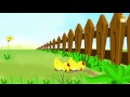 CHICK and DALE, CHICK & TAIL , ANIMATED CARTOON, FUNNY GAG