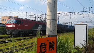 【2021/08/06･東北本線を走る貨物列車】4052ﾚ トヨタロングパスエクスプレス(盛岡タ→笠寺･EH500-37牽引)