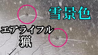 【空気銃猟】雪降りしきる中エアライフルで出猟！！