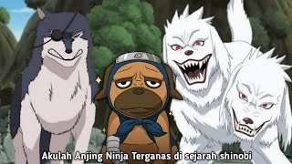 Kecil tapi Ganas.! Inilah Urutan Anjing Ninj4 Mematikan Dalam Sejarah Dunia Shinobi