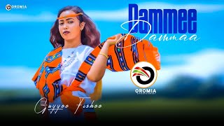 Guyyee Fishee |DAMMEE DAMMAA| Oromo Music HD 2023