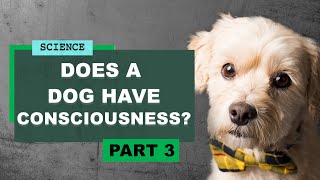 Does a Dog Have Consciousness? | Neuroscience Professor Antonio Damasio and Noga Arikha (part 3)