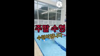 Swim 수영의 꽃은 접영이지