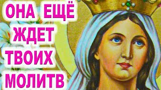 Последний шанс успеть в ее праздник 7 декабря  Акафист святой Екатерине  великомученице  молитва 2-1