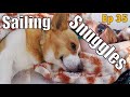 Fair Winds and Corgi Snuggles | Sailing Wisdom Ep 35