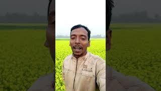 বাস্তবতা হচ্ছে জীবনের সহজ ও কঠিন সমীকরণ! #viralvideo #inspirationalquotes #youtubeshorts