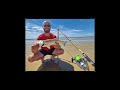 surfcasting astuces avant l été pour pêcher des jolis poissons daurade royale bar marbré...