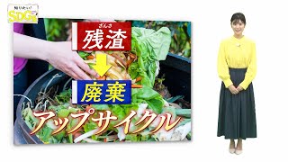 知りたい！SDGs #126 |2022年2月24日放送