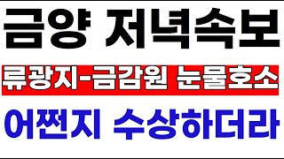 [금양 금양주가 금양주가전망] YTN 저녁특보! 류광지회장-금감원 면담 몽골리튬 440조 승인확정 저녁에 터졋다