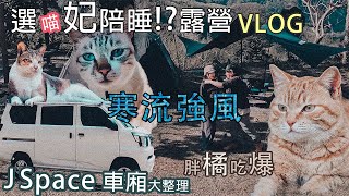 【不死大fat.小靚】J Space露營去｜貓咪軍團包圍😺陪睡療癒心靈｜挑戰寒流強風差點被掀翻｜📍桃園壘薩露營區｜CMC中華8人座｜黑化帳篷｜DJI Flip｜Camping Vlog EP2 4K