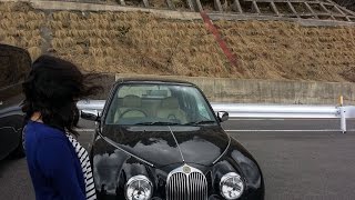 桜 雪 鈴鹿スカイライン