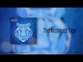 The Architect Tiger EP (Official Audio)