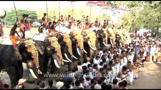 Festival beats: Chenda melam and kombu at Thrissur Pooram