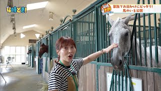 怜菜大はしゃぎ！馬のいる公園 JRA宮崎育成牧場　2024年8月8日（木）「4時どき！」