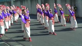 りぐる　2019年11月10日　よさこい東海道　＠沼津魚市場イーノ