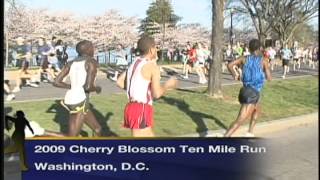 SY 124   FANTASTIC FINISH   2009 CHERRY BLOSSOM