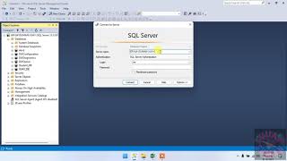 1 VBA SQL Server Connection by Early Binding