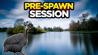 Pre-Spawn Session At Cottington Fisheries Ft. Gilbert The Guinea Fowl