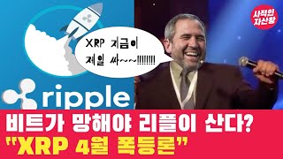 리플 공동설립자 비트코인 망해야 XRP가 산다?