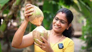 വേനൽക്കാലത്ത് ഇളനീർ വച്ചുള്ള ഈയൊരു പരീക്ഷണം നിങ്ങളെ ഞെട്ടിക്കും!💯👌 Easy Summer Drinks Tender Coconut