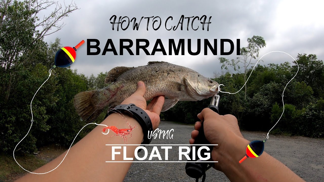 How To Catch Barramundi Using Float Rig: Pulau Ubin Singapore Fishing ...