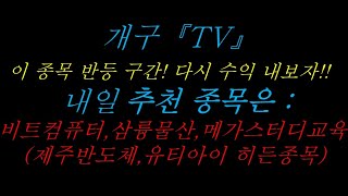 추천종목  : 메가스터디교육,삼륭물산,비트컴퓨터