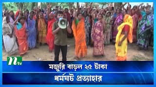 চা শ্রমিকদের মজুরি বাড়ল ২৫ টাকা, ধর্মঘট প্রত্যাহার