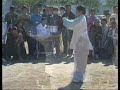 shang style xing yi quan