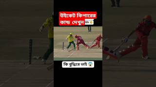 উইকেট কিপারের চালাকি দেখুন#cricket #shorts