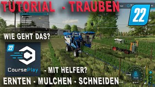 LS22 Tutorial - Trauben Ernten und Pflegen mit Helfer - Courseplay