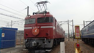 EF81 81（お召し塗装）新津工臨 牽引臨時代走運転か？