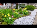 SPRING TINY FRONT YARD GARDEN TOUR WITH RELAXING MUSIC #garden #gardening #flowers #plants #spring