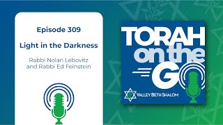 Episode 309: Light in the Darkness - Torah on the Go