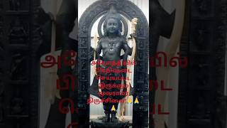 அயோத்தி  ஸ்ரீ ராமர் மூலவர் சிலை