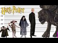 Harry Potter Size Comparison | Characters, Magical Creatures and Monsters Heights