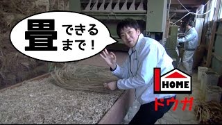 畳ができるまで【工場見学】