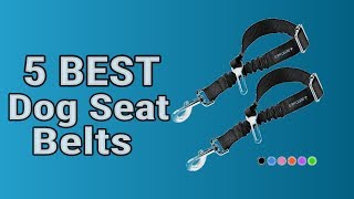 5 Best Dog Seat Belts
