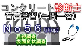 コンクリート診断士_一問一答_No56(再up)_目視調査_表面変状調査