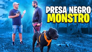 Vendi um cão negro MONSTRO