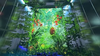 Phish “Rift” 04/16/26 Sphere, Las Vegas, Nevada 