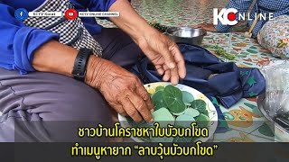 ชาวบ้านโคราชหาใบบัวบกโขด ทำเมนูหายาก “ลาบวุ้นบัวบกโขด”