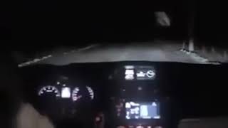 Dog Steals the car with a trick